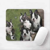 Puppies van Boston Terrier Muismat (Met muis)