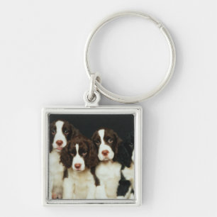 Puppies van de Engelse Springer Spaniel (2) Sleutelhanger