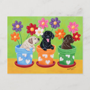 Puppies van de labrador van de bloem briefkaart