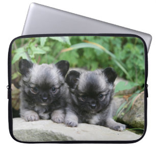 Puppies van Long Hazard Chihuahua Laptop Sleeve