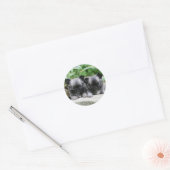 Puppies van Long Hazard Chihuahua Ronde Sticker (Envelop)