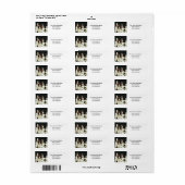 Puppies van Springer Spaniel (2) Etiket (Full Sheet)