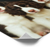 Puppies van Springer Spaniel (2) Poster (Hoek)
