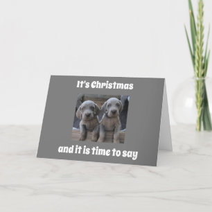 PUPPIES VERZENDEN DUBBELE CHRISTMAS WISHES FEESTDAGEN KAART