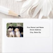 Puppies voor labrador Retriever Etiket (Insitu)