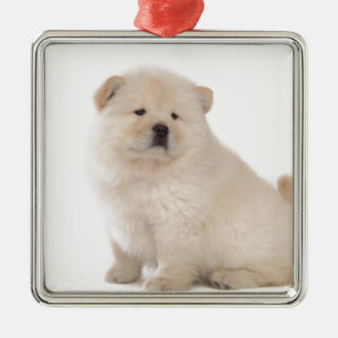 puppup hond met een schattige witte chow metalen ornament
