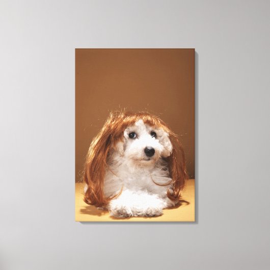 Puppus met ginger wig canvas afdruk (Voorkant)