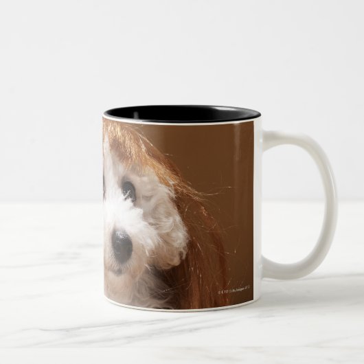 Puppus met ginger wig tweekleurige koffiemok (Rechts)