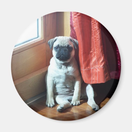 Puppy 007 magneet (Voorkant)