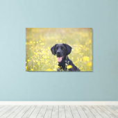 Puppy 16 maanden 2 canvas afdruk (Insitu (Houten vloer))