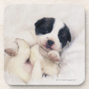 Puppy 2 bier onderzetter