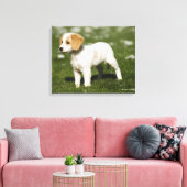 Puppy 3 canvas afdruk (Insitu (Woonkamer))