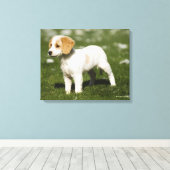 Puppy 3 canvas afdruk (Insitu (Houten vloer))