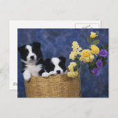 Puppy Afbeelding Briefkaart (Voorkant / Achterkant)