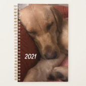 Puppy Agenda (Voorkant)