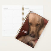 Puppy Agenda (Display)