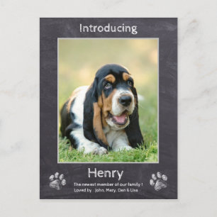 Puppy Announcement - Chalkboard New Puppy Dog Briefkaart
