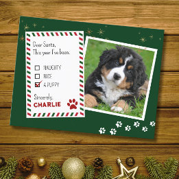 Puppy Beste Kerstman Groene Kerst Wenskaart Briefkaart