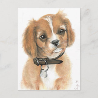 Puppy Briefkaart