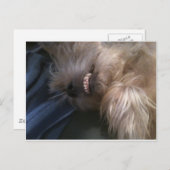 puppy briefkaart (Voorkant / Achterkant)