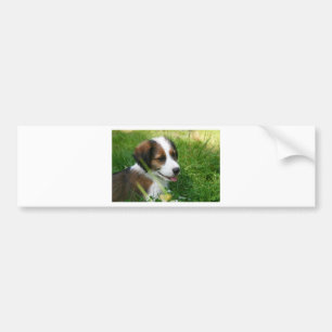 Puppy Bumpersticker