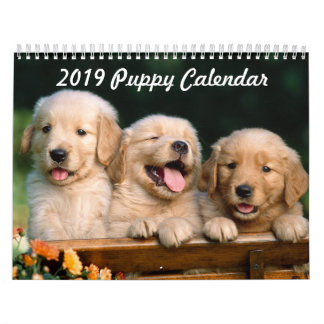 Puppy Calendar 2019 Kalender