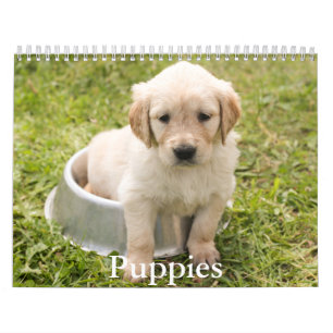 Puppy Calendar Kalender
