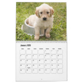 Puppy Calendar Kalender (Jan 2026)