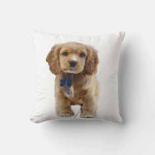 Puppy Ccoker spaniels Kussen