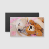 Puppy cuddles 02 (Voorkant / Achterkant)
