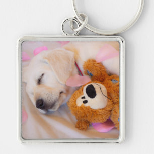 Puppy cuddles 02 sleutelhanger