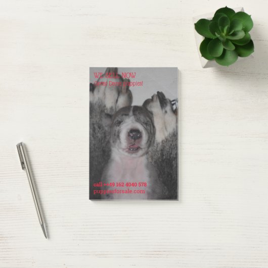 Puppy die gepost nota's verkoopt post-it® notes (Kantoor)
