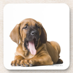 Puppy Dog 2 Onderzetter