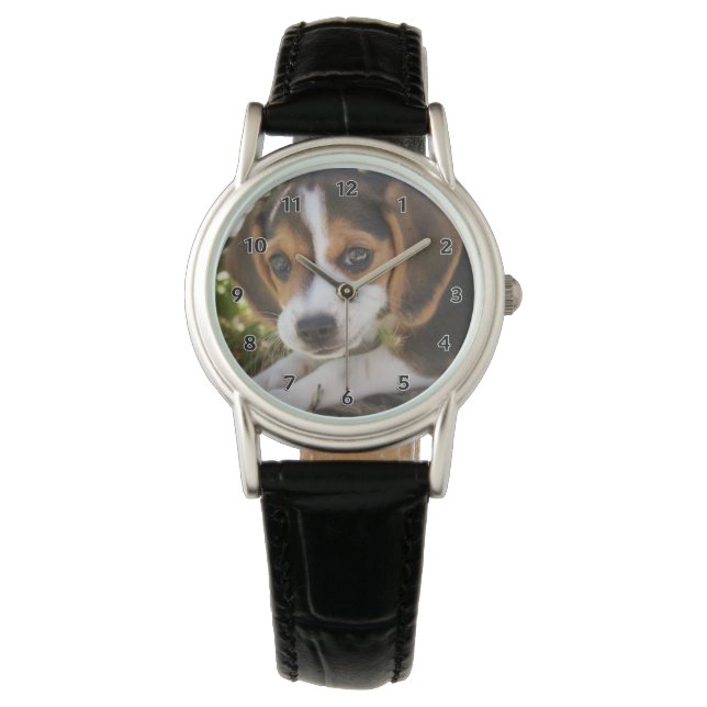 Puppy Dog Beagle Horloge (Voorkant)