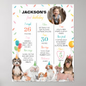 Puppy Dog Boy Verjaardag Mijlpaal Teken Poster (Voorkant)