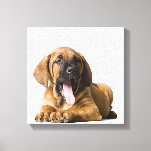 Puppy Dog Canvas Afdruk (Voorkant)