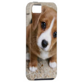 Puppy Dog Eyes Case-Mate iPhone Case (Back/Rechts)