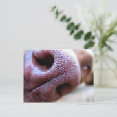 Puppy Dog Nose Briefkaart (Staand voorkant)