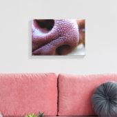 Puppy Dog Nose Canvas Afdruk (Insitu (Woonkamer))