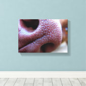Puppy Dog Nose Canvas Afdruk (Insitu (Houten vloer))