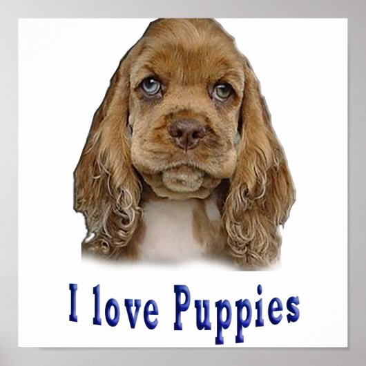 Puppy Dog Poster (Voorkant)
