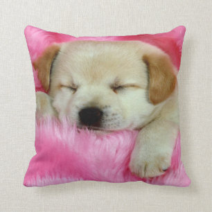 Puppy Dog sliep op roze Sierkussen