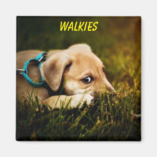 Puppy Dog sluiten Magneet