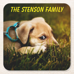 Puppy Dog sluiten Vierkante Kartonnen Onderzetter