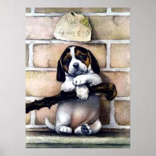 Puppy dog voor verkoop schattige illustratie poster
