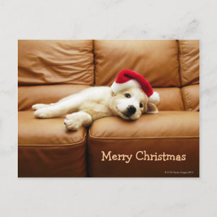 Puppy draagt een pet voor kerstmis en ligt op sofa feestdagenkaart