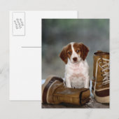 Puppy en Boots Briefkaart (Voorkant / Achterkant)