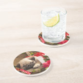 Puppy en cadeaudoos zandsteen onderzetter (Zijkant)