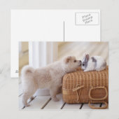 Puppy en konijn briefkaart (Voorkant / Achterkant)