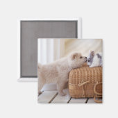 Puppy en konijn magneet (Voorkant / Achterkant)